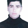احمدرضا گلی مقدم)