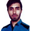 محمدحسن گرزین)